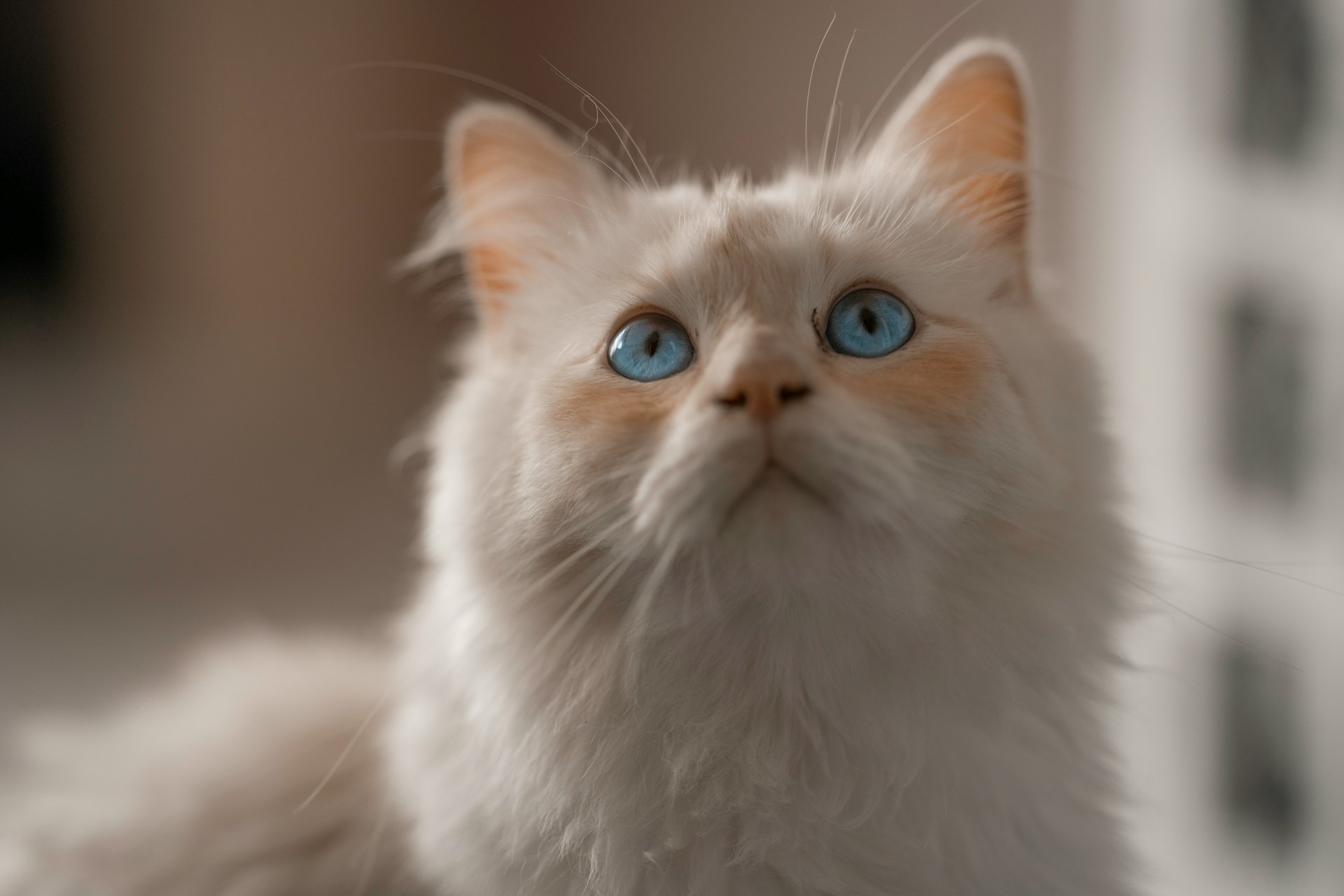omar-ramadan-2aknukyUjtc-unsplash